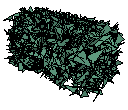 hedge1.skp
