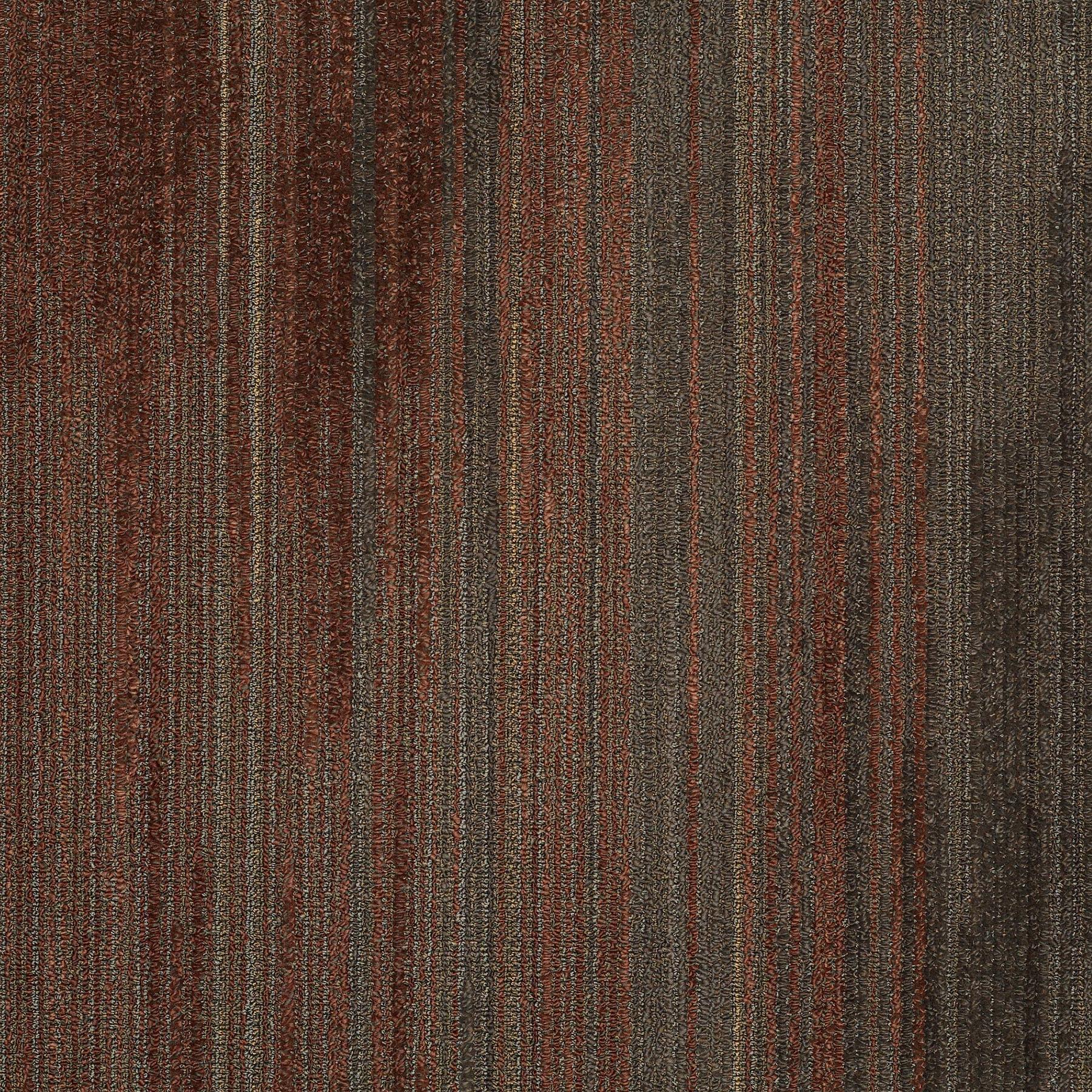 59339_39803_MAIN.jpg