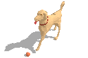 Fido _ Ball.skp