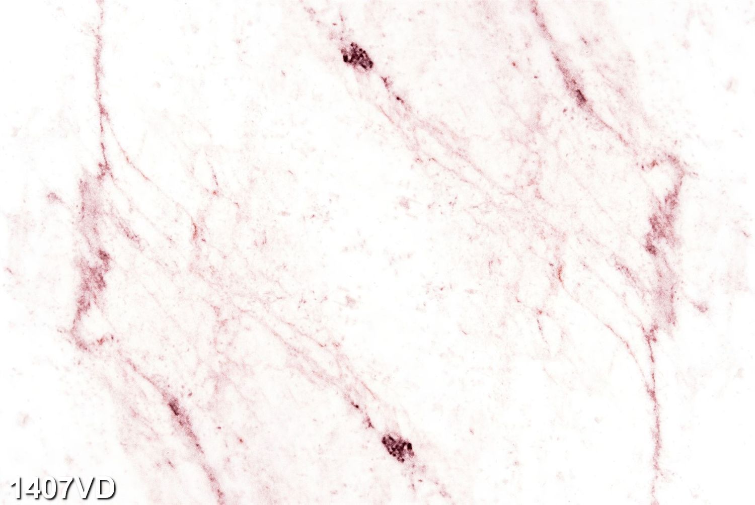 PVC VD - 1008.jpg