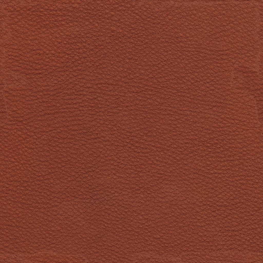 Leather_L_Diff.jpg