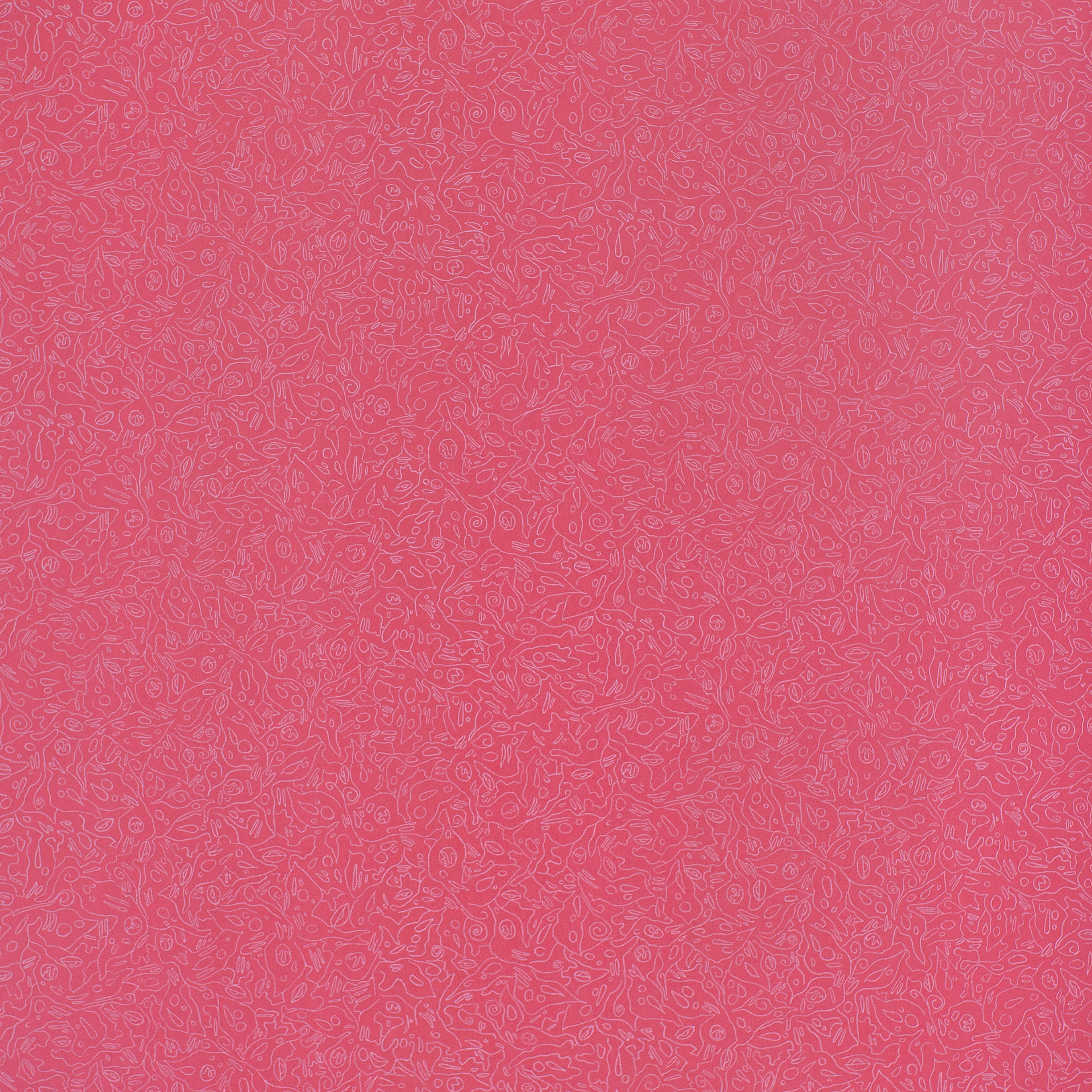 LK  7931.jpg