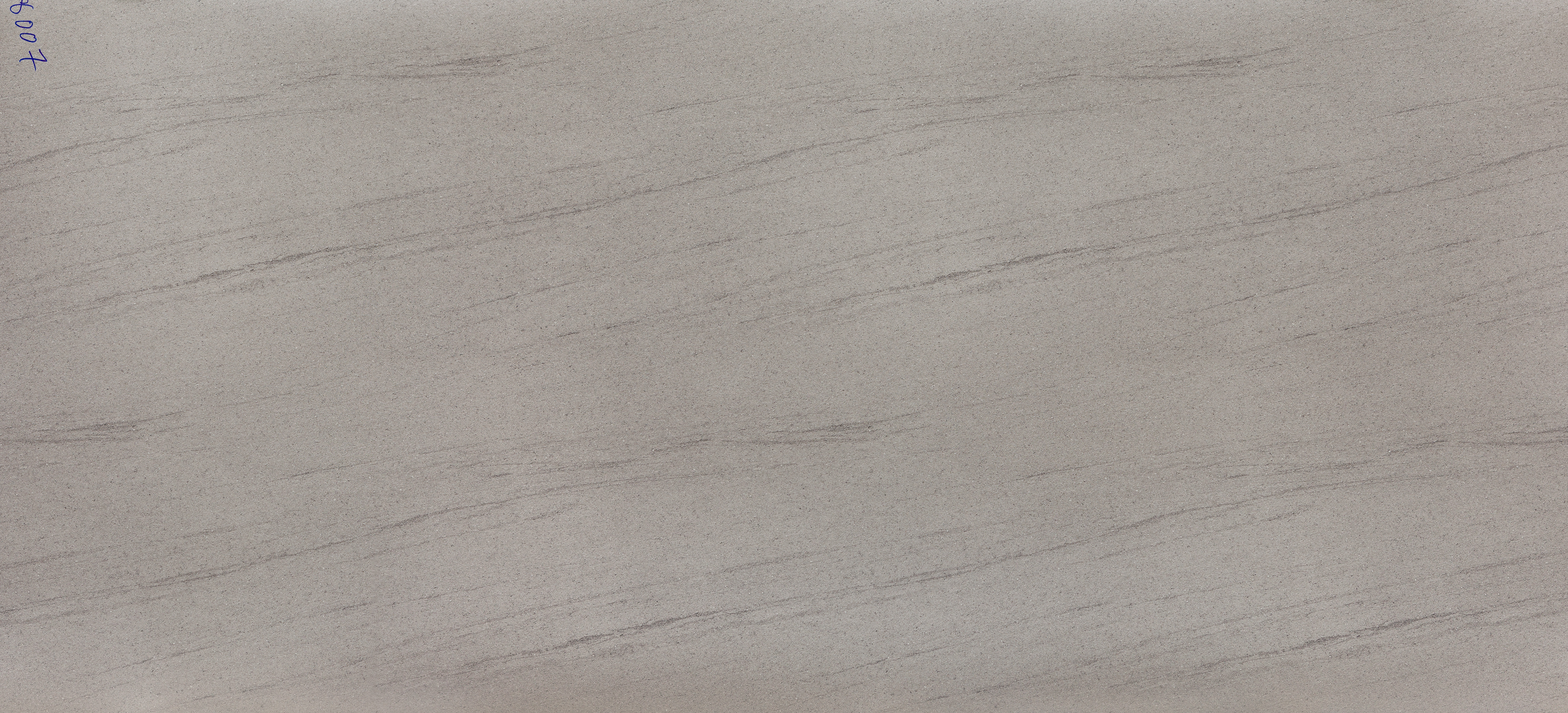 LK 8007 G.jpg