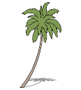 2D Cay Ngoai That - 131.skp