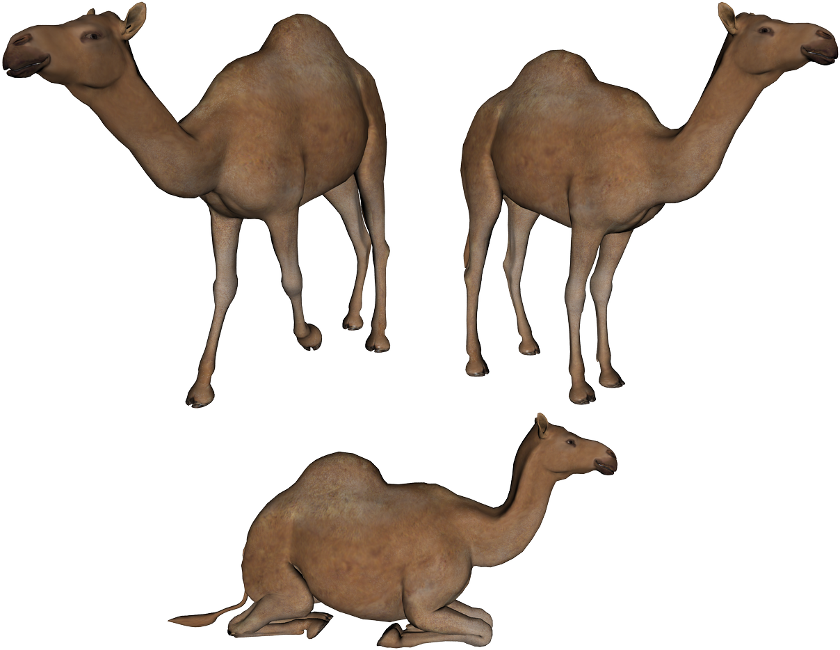 021.png