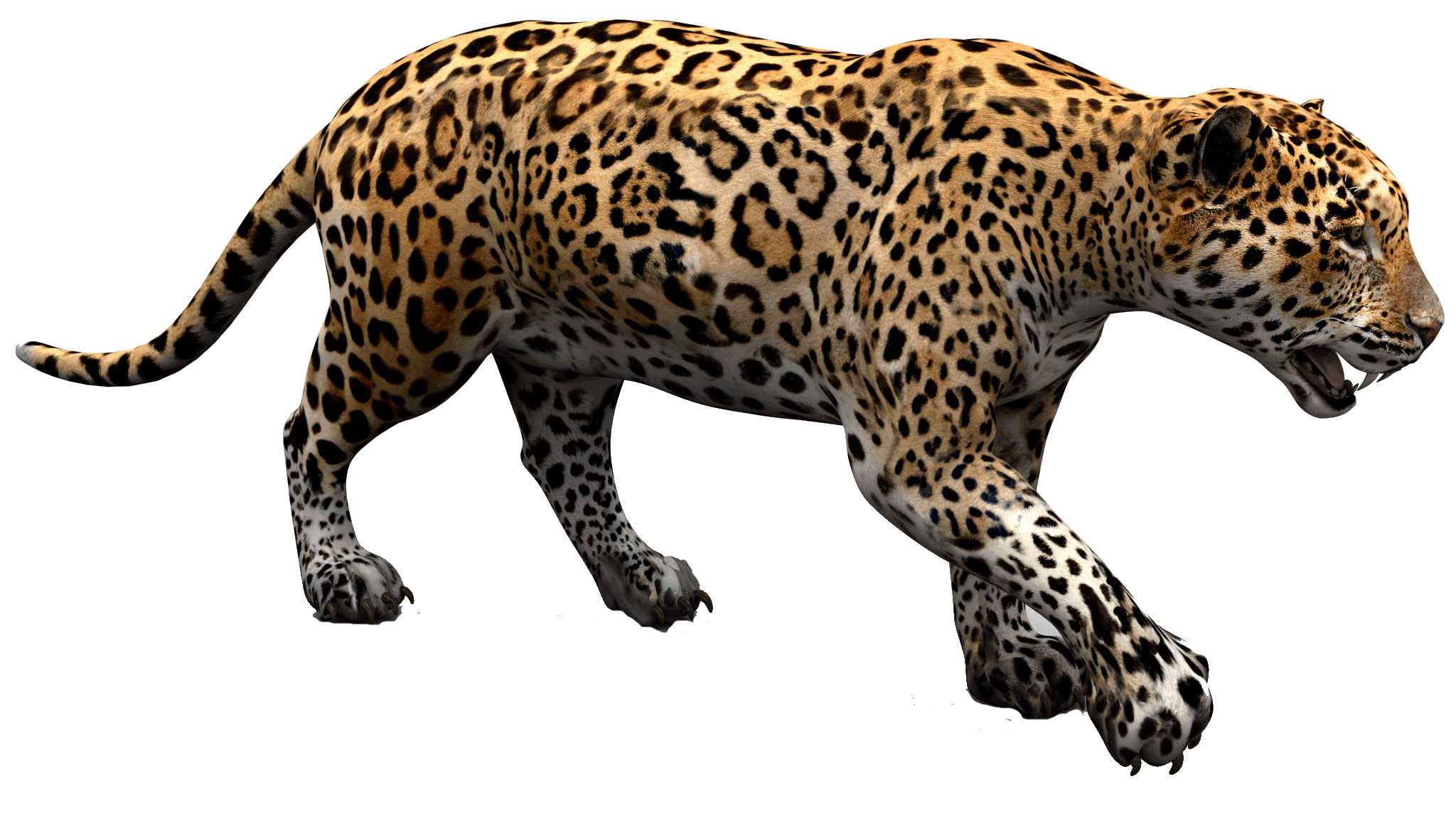 d539aa01c4e45c8ad492d82fc1f922bb.png