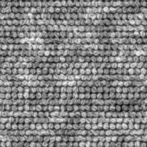 carpet2_disp.jpg
