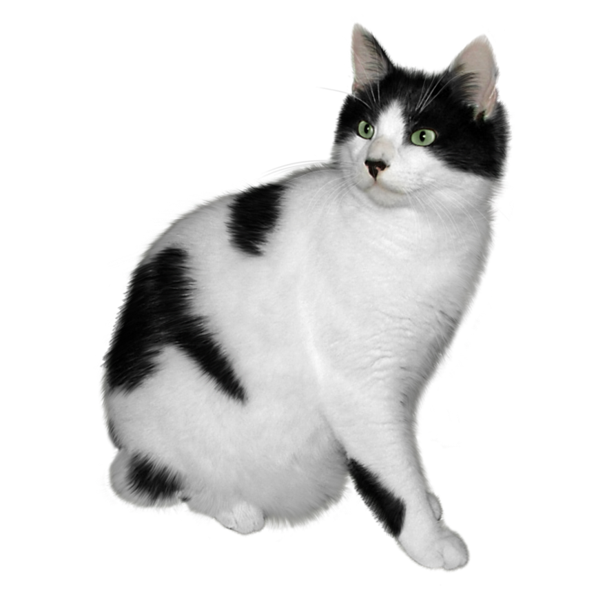 0136.png
