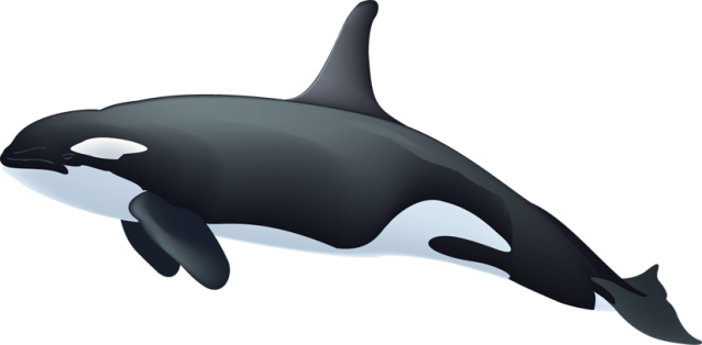 Free-whales-clipart-free-clipart-graphics-images-and-photos-2-2.png