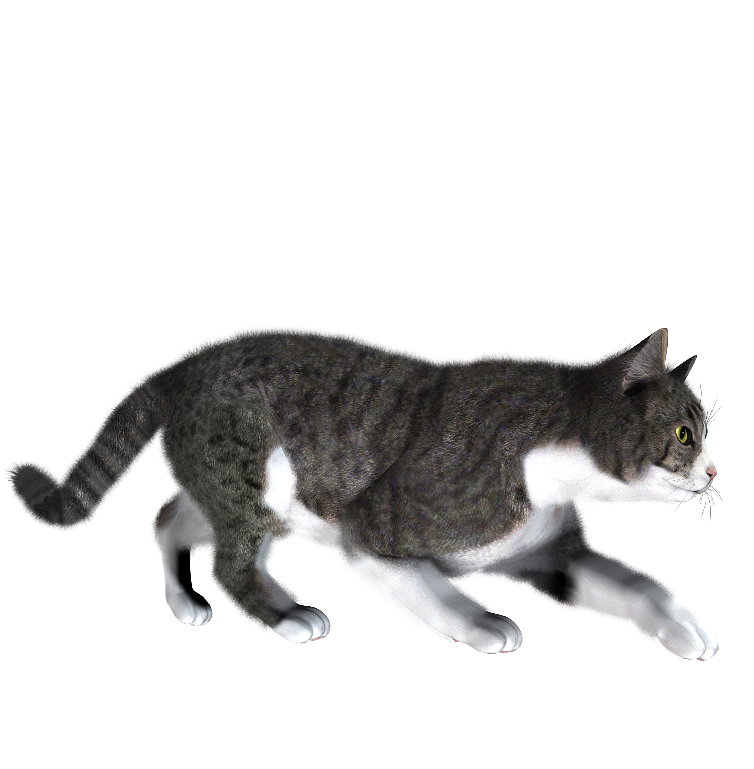 011.png