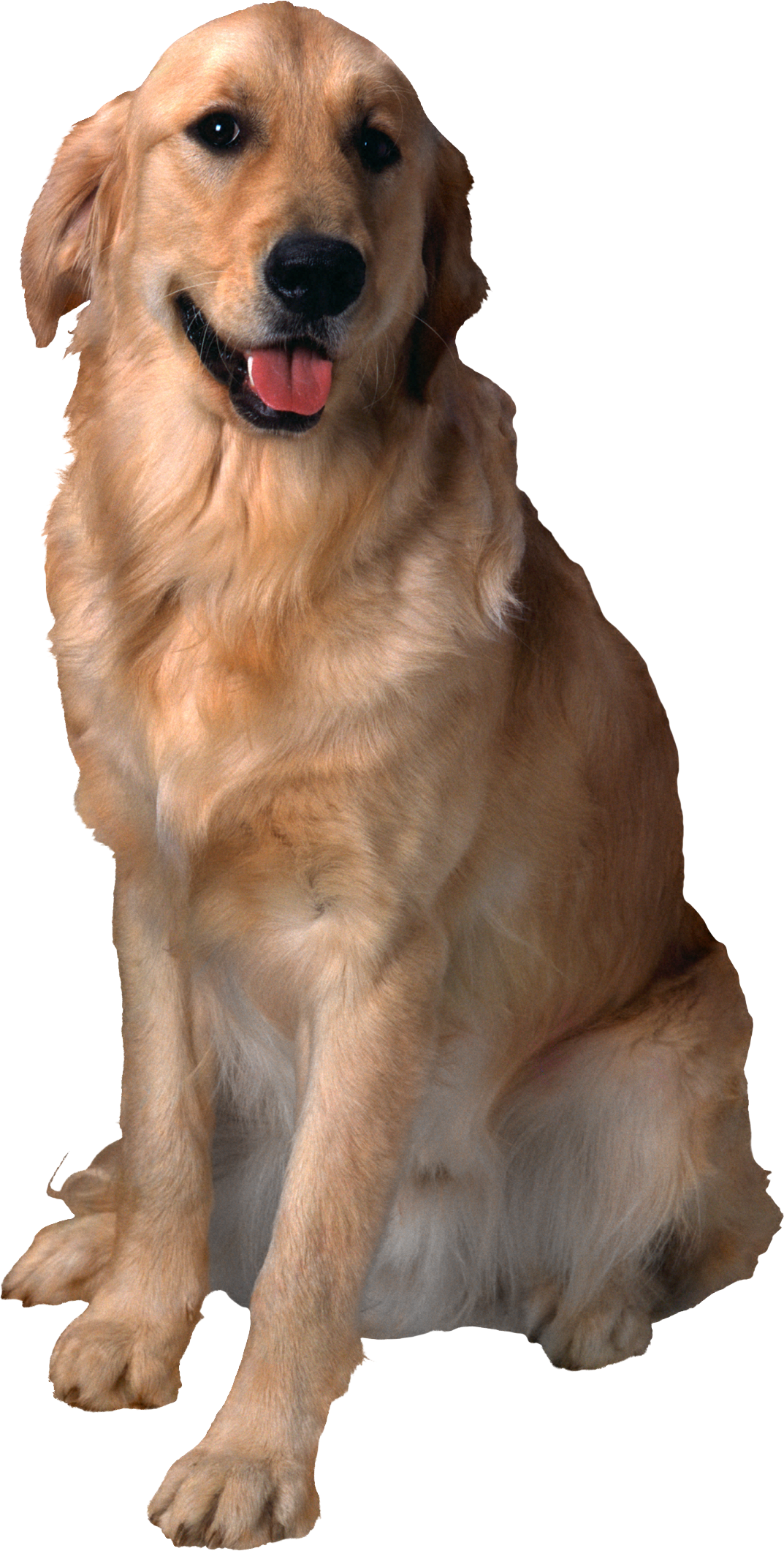 0_16f5d1_1fd781a8_orig.png