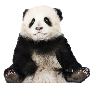 Baby-Panda.png