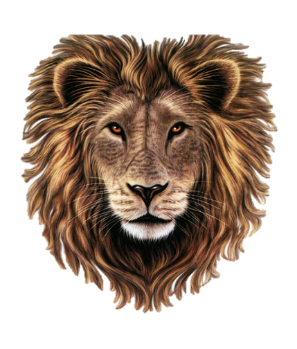 Lion-Head-PNG-Clipart.png