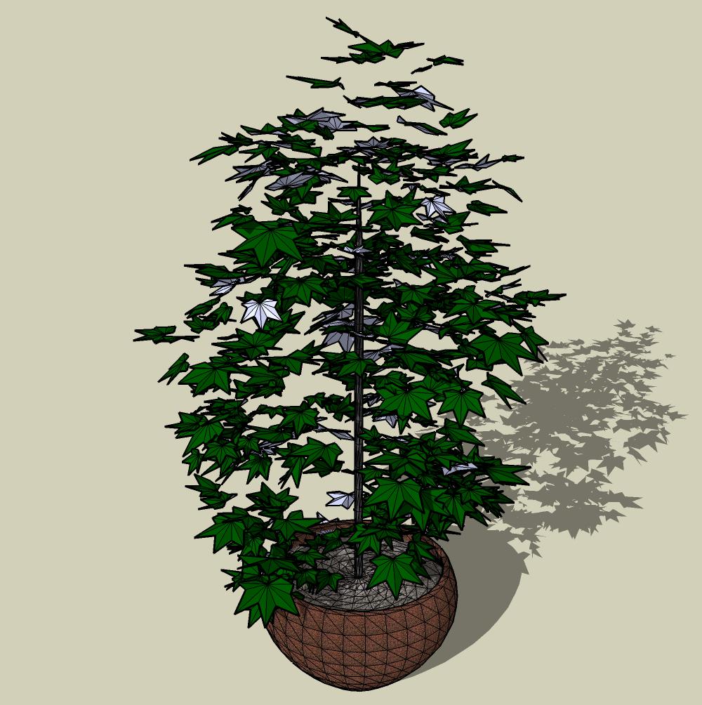 CAY DECOR - 115.jpg