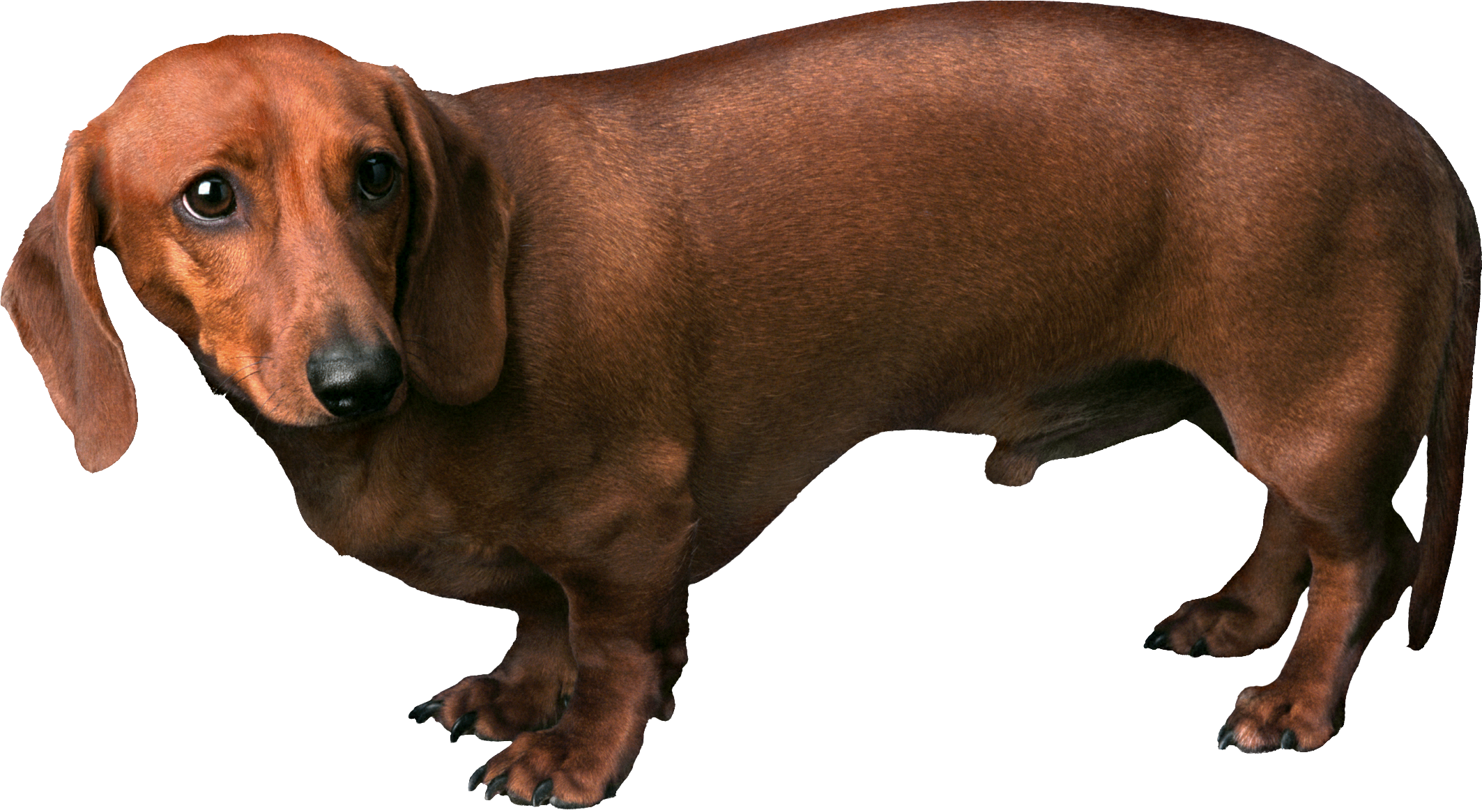 0_16f5d8_b3189d3f_orig.png