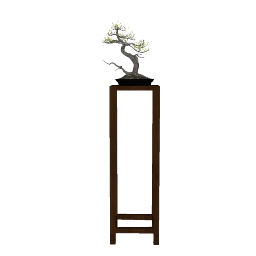 BONSAI 01 (7).skp