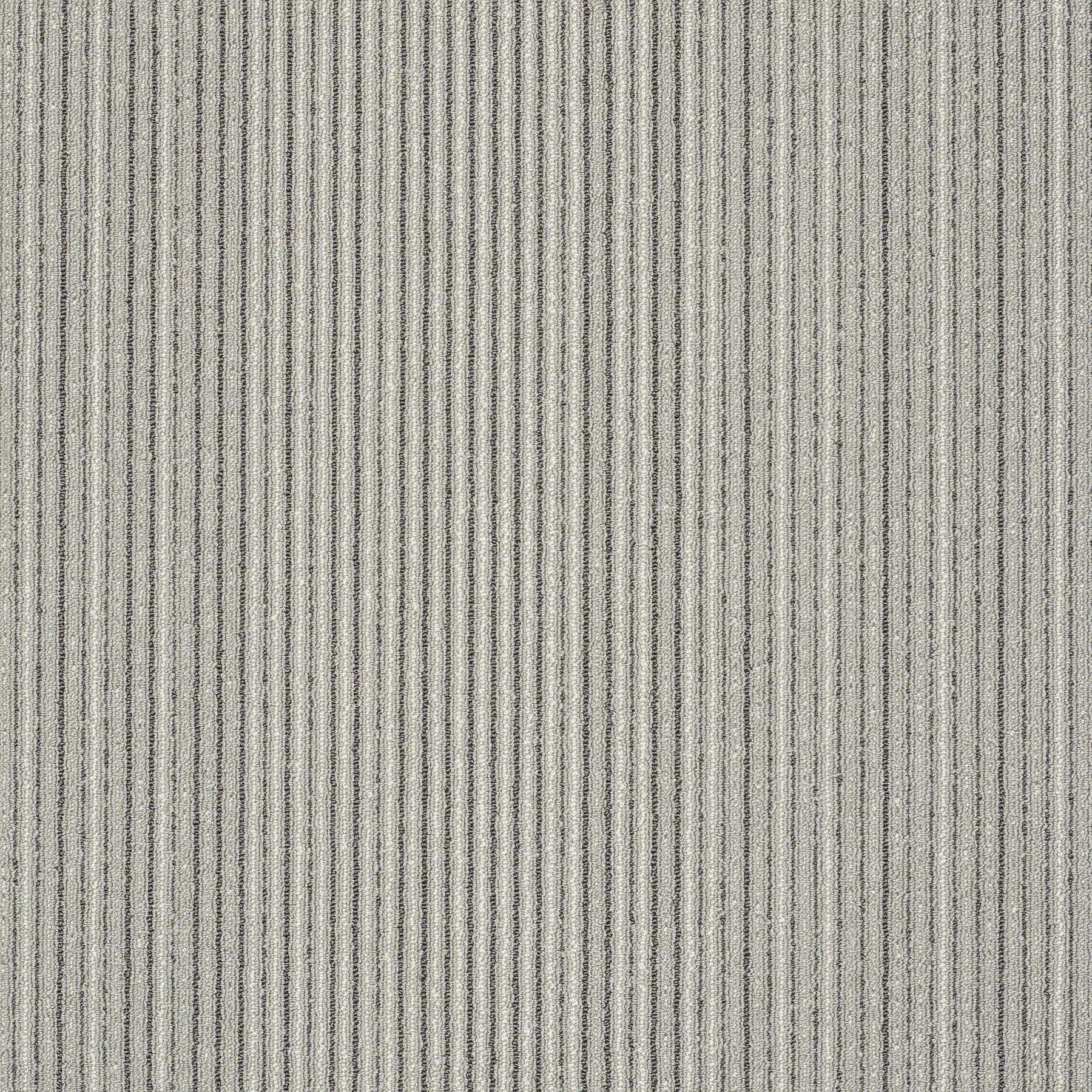 59331_30515_MAIN.jpg