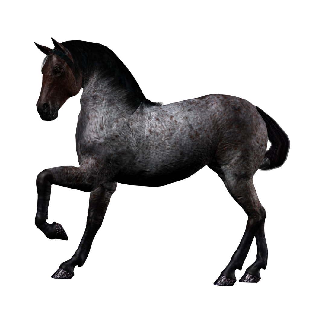 horse_PNG2531.png