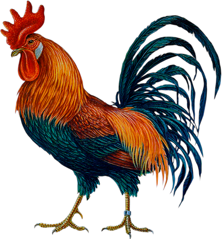 0_fafd8_380f9a15_XL.png