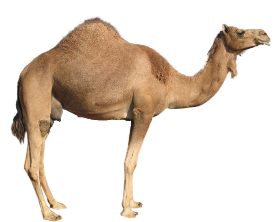018.png