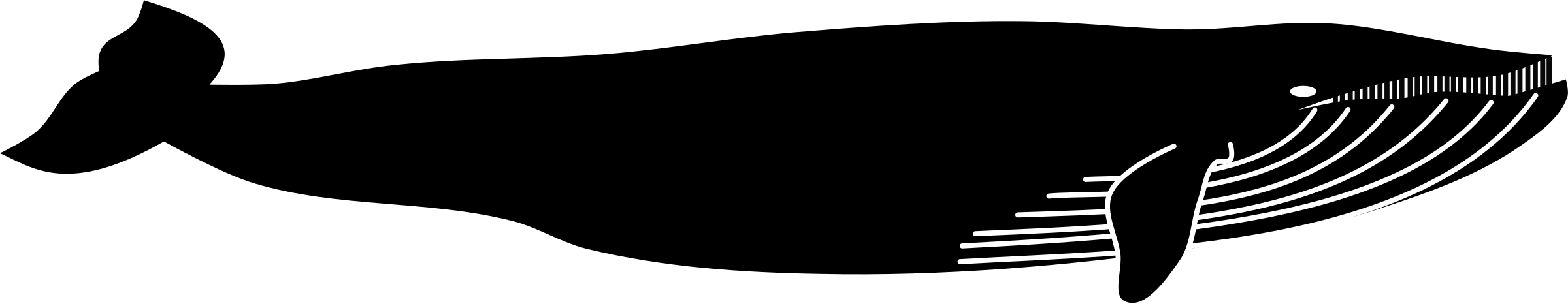 Whale-by-Rones.png