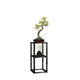 BONSAI 01 (14).skp
