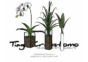 Cay Tong Hop - 1286.skp