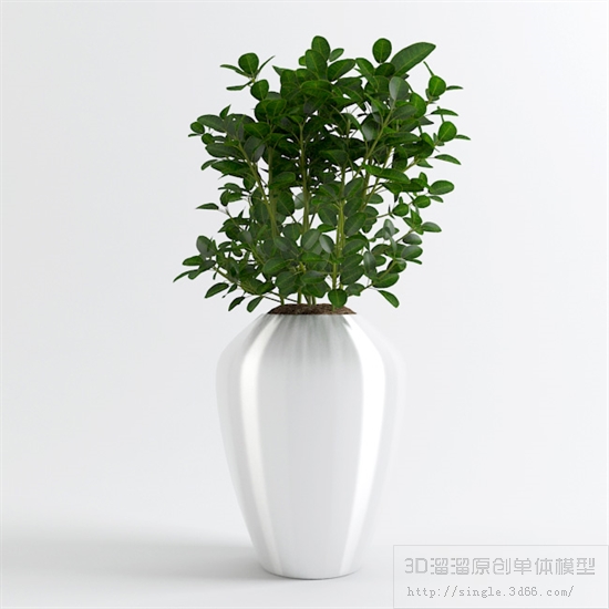 CAY DECOR - 13.jpg