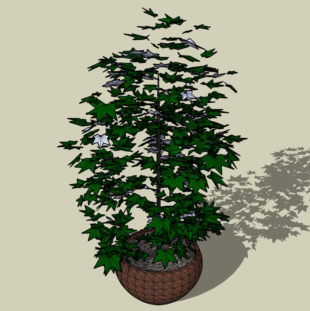 CAY DECOR - 114.jpg