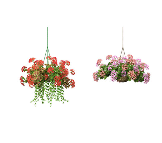 CAY DECOR - 105.jpg