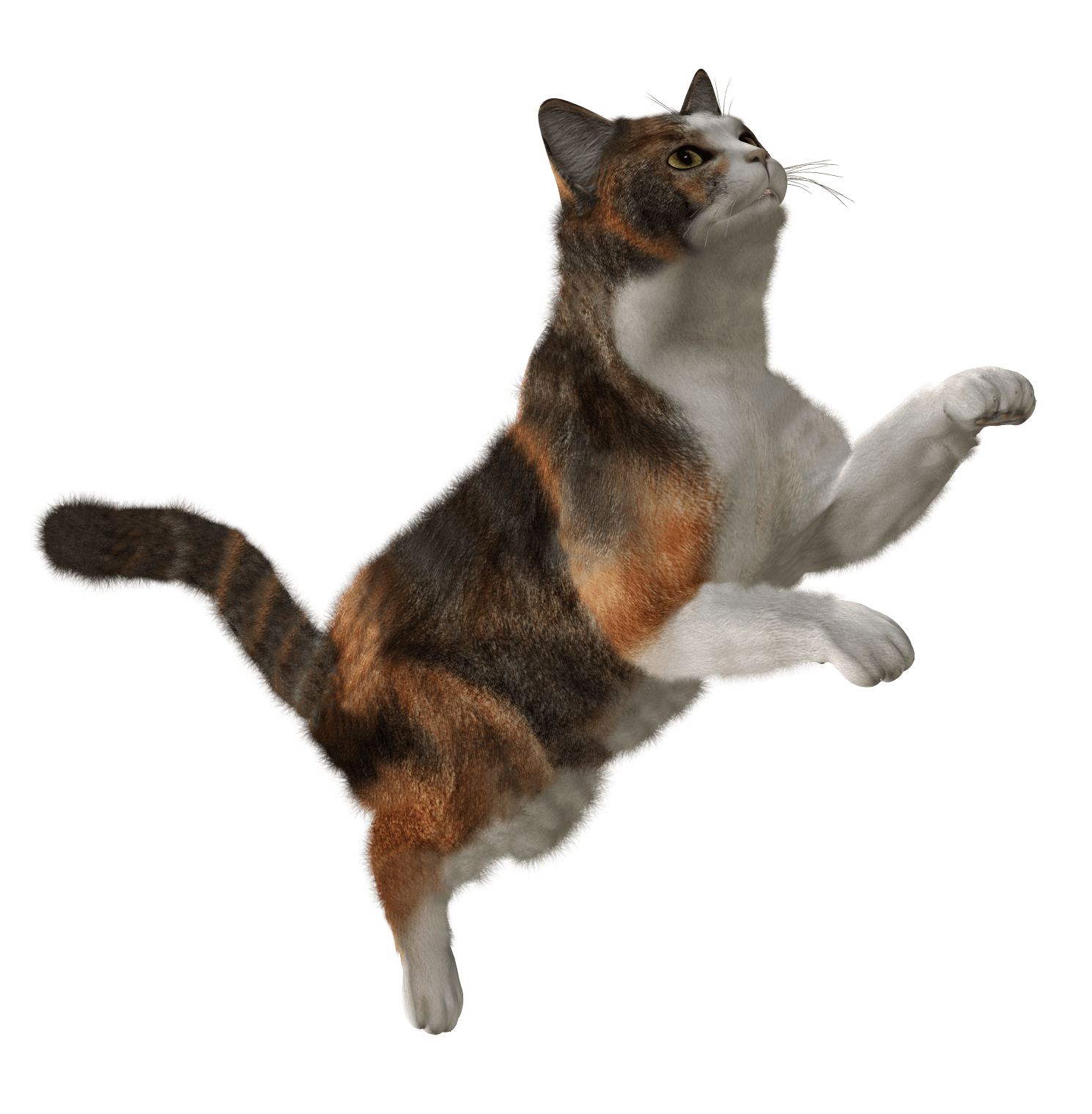 0116.png