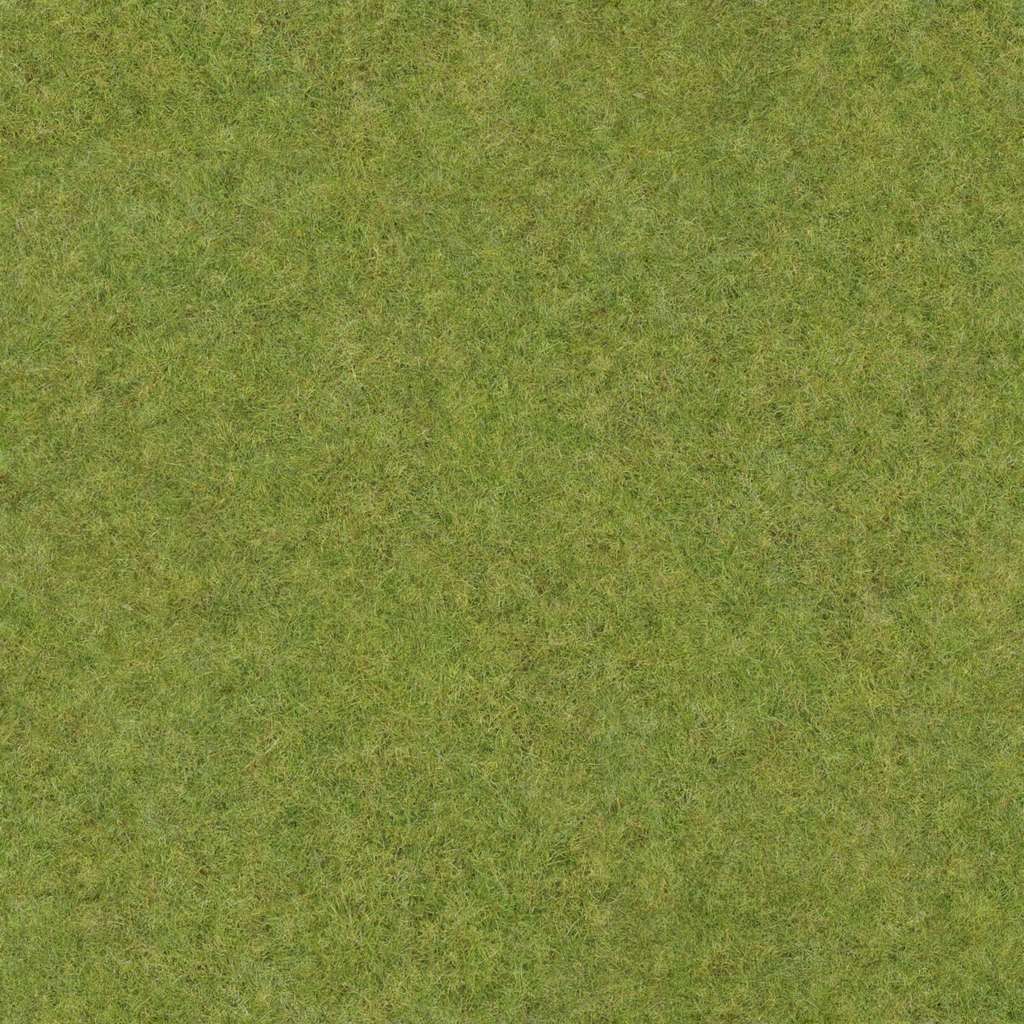 Grass_E_Diff.jpg