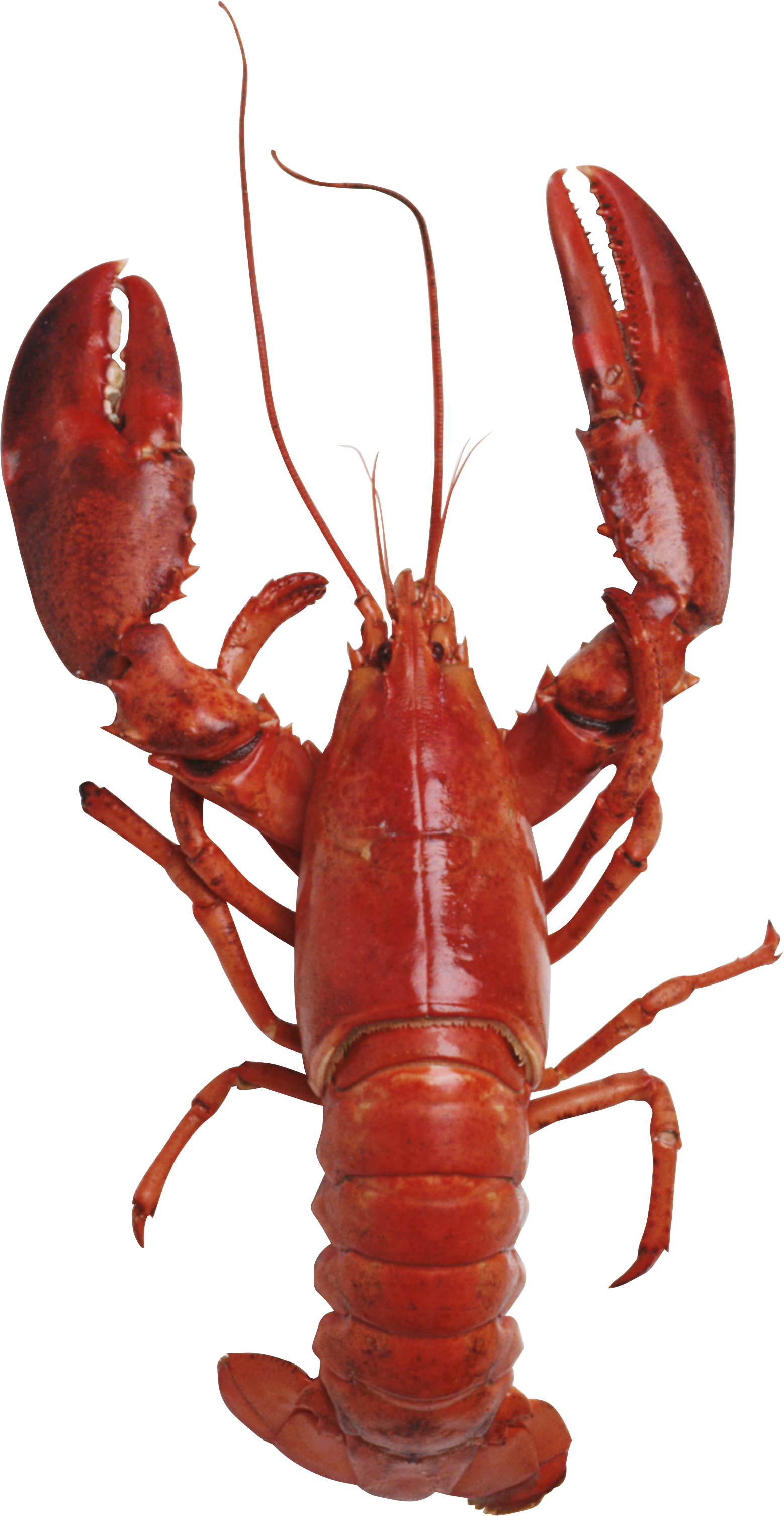 0_1500f6_186f5905_orig.png