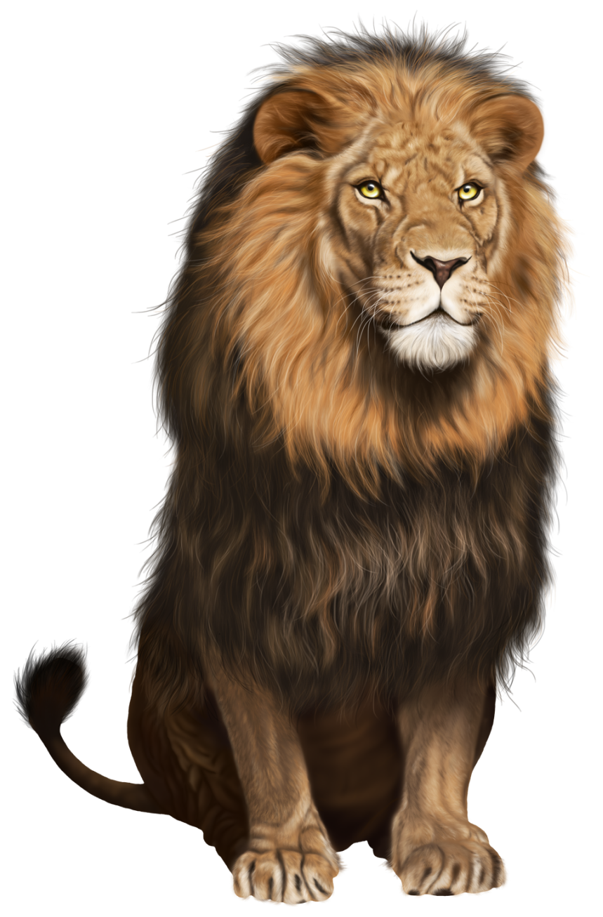 Lion_Transparent_PNG_Clip_Art_Image.png