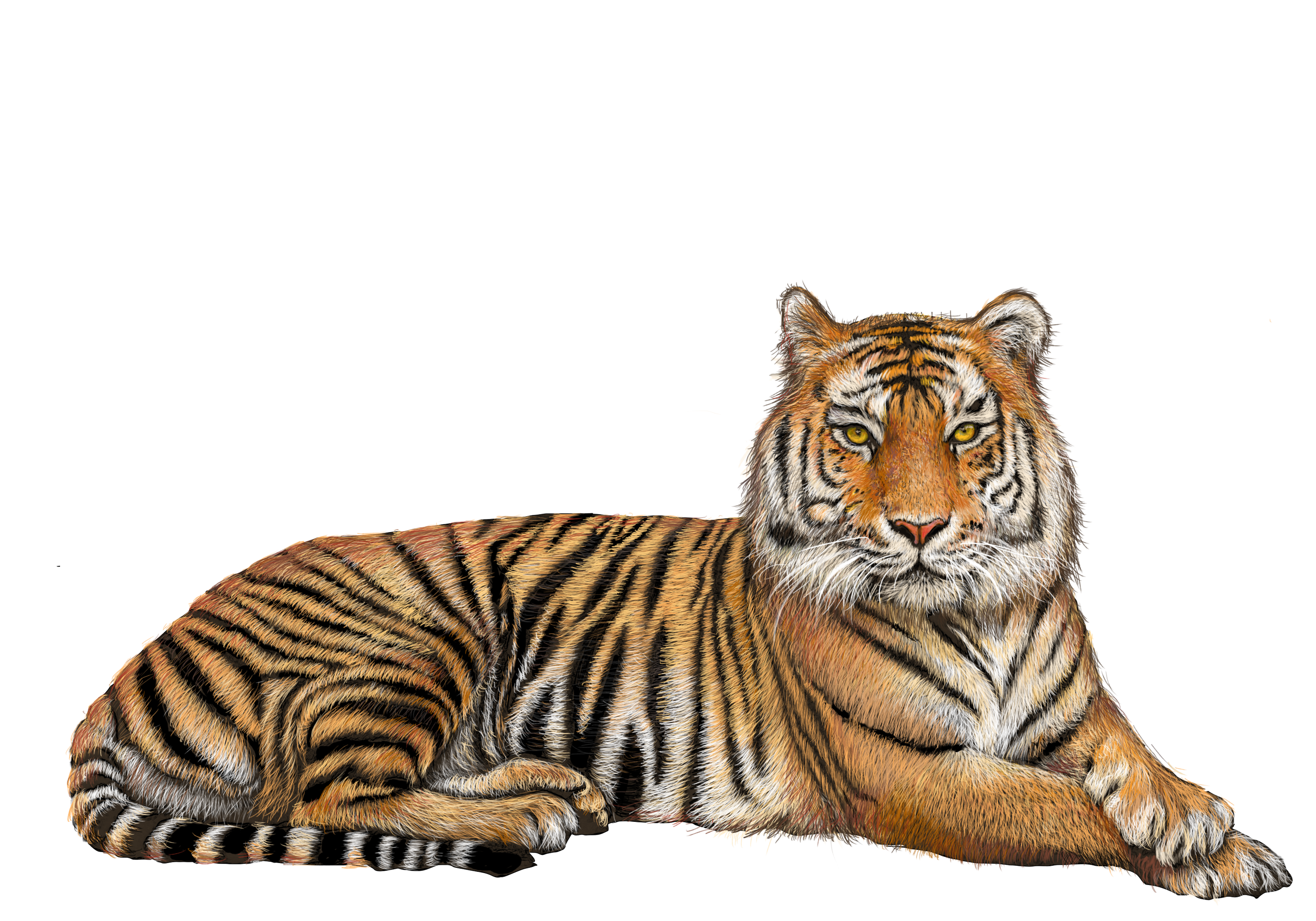 9c16f5_d2e331b6f88947e9b60def8e18b148f2.png_srz_3000_2100.png