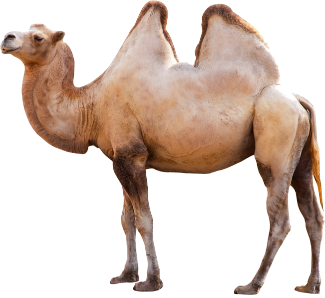 016.png