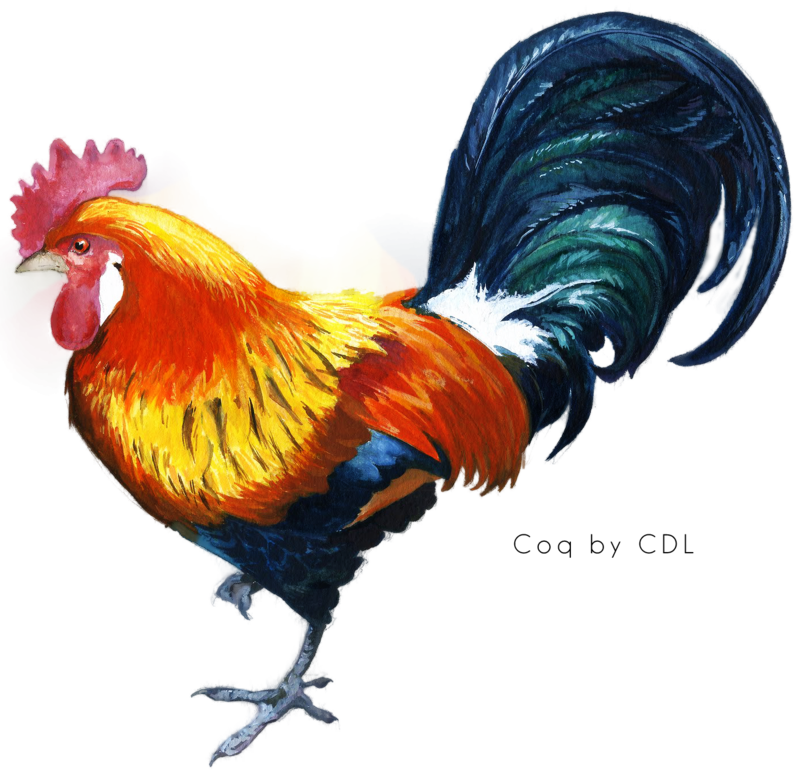 coq___cock_png_by_cendredelune-d5zbd5x.png