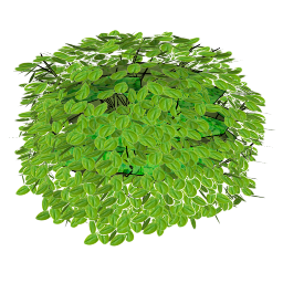 Cay Tong Hop - 1779.skp