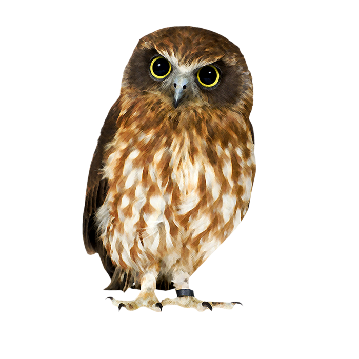 56aec6c2848cf1529ab867ef.png