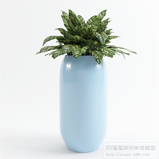 CAY DECOR - 06.jpg