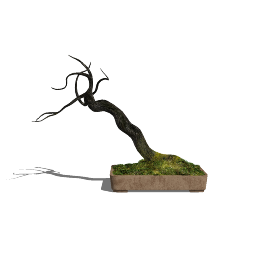 BONSAI 01 (3).skp