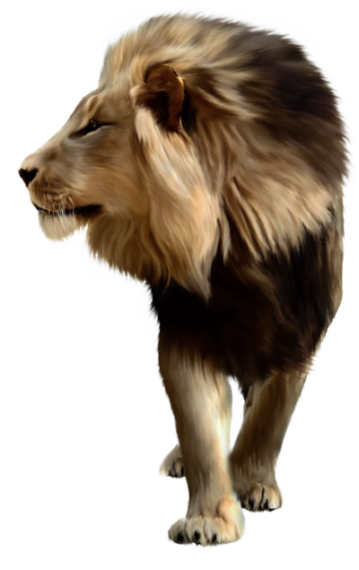 lion_PNG567.png