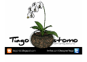 Cay Tong Hop - 1216.skp