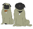 2D_Animal_Dog_Pugs.png