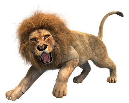 lion-1734800__340.png