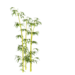 Cay Tong Hop - 1798.skp