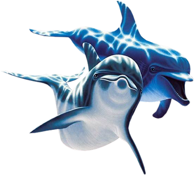 dolphins.png
