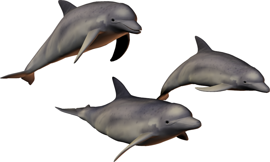 dolphin__digital__28_by_wolverine041269-d5esme3.png