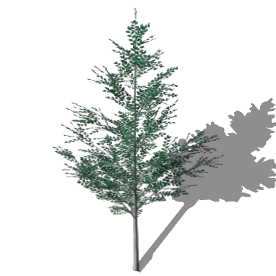 RpArPlant.skp