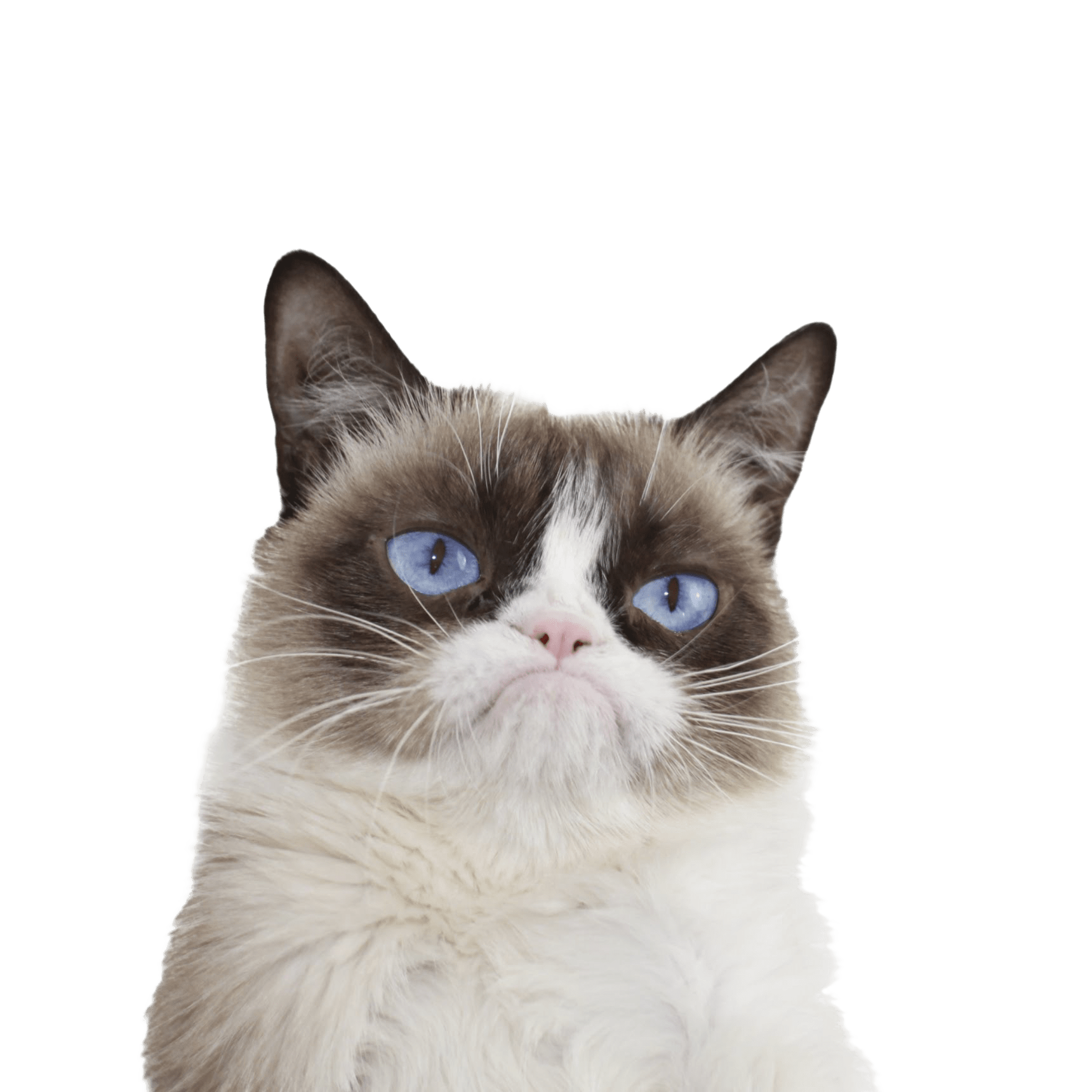 0128.png